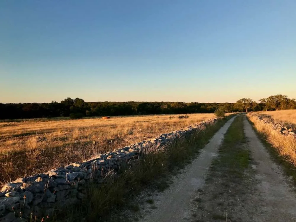 Golden-hour ranch road along the stone wall at Poco Loco Ranch