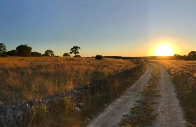 Poco Loco Ranch — Texas Hill Country guest ranch in Boerne